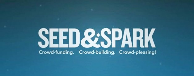 What If Seed&Spark Is Successful?
